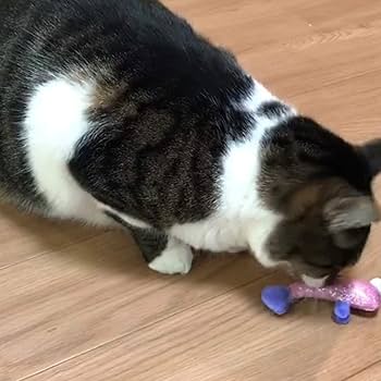 【新品未開封】キャットクエスト１＆２＆３ファータスティック・トリロジー 新品未開封】キャットクエスト1＆2＆3ファータスティック